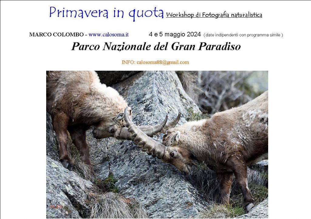 workshop Gran Paradiso maggio 2024